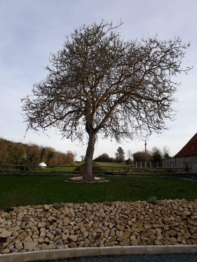 Gite " Le Vieux Noyer" Liesville-sur-Douve 외부 사진